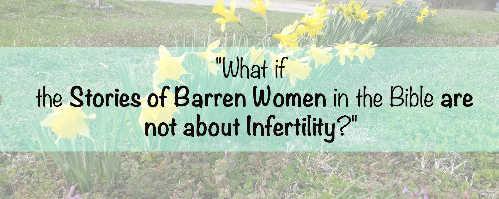 What if the Stories of Barren Women in the Bible are not about Infertility?
